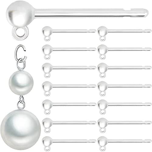 30pcs Safety Non-Allergenic Plastic Earring Posts Ear Wire Anti Allergy Posts Earring Findings DIY Jewelry Making for Sensitive Ears (Post with Lift Ring) - color: Post with Lift Ring 30pcs