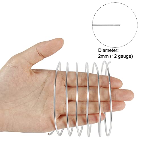 Tenn Well 12 Gauge Aluminum Wire, 100 Feet 2mm Bendable Metal Craft Wire for Sculpting, Armature, Jewelry Making, Floral Making, Doll Making, Modelling, Crafting, Bonsai Training - color: Silver