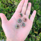 Adabele 10pcs Natural Unakite Jasper Gemstone 8x14mm Donut Rondelle Beads Large Hole ID 5.6mm for DIY Craft Jewelry Making GW-A11 - color: Unakite Jasper, size: 14mm x 8mm - 10pcs