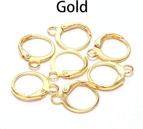 20 Pieces Surgical-Grade Stainless Steel Lever Earring Hooks - Open Loop Findings with 14×12mm Hoop Bases for DIY Jewelry Making Supplies (Gold) - color: Gold