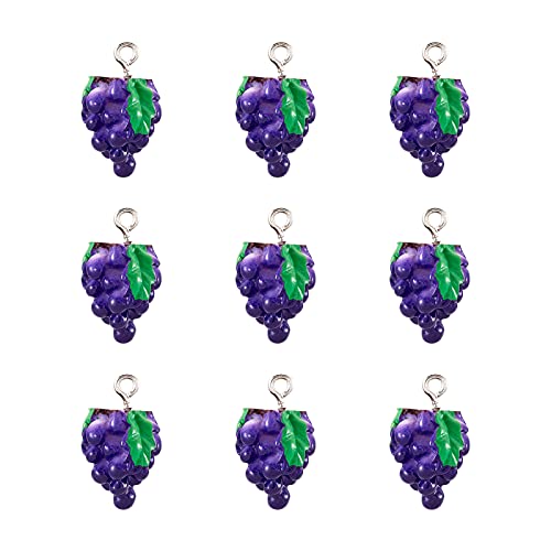 Craftdady Fruit Dangle Charms Pendants Cute Resin Food Pendants Apple Orange Pineapple Strawberry Pendants Lovely Vegetable Mushroom Charms for DIY Craft Earring Bracelet Necklace Jewelry Making - color: Purple, Grape