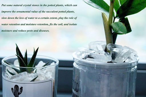 YATOJUZI 1LB Clear Quartz Crystal Points Bulk Natural Irregular Polished Stones Wands Gemstones Wholesale Reiki Energy Balancing Chakra Crystals Stone for DIY Handmade Meditation Divination 0.4"-1.2" - color: 0.39"-1.18”, size: 1lb