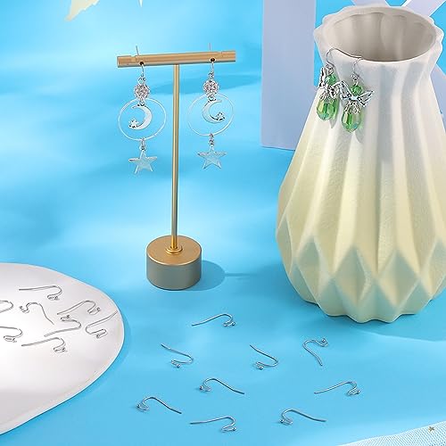 SUNNYCLUE 1 Box 160Pcs French Earring Hook French Earring Hooks Silver 316 Stainless Steel Earrings Hooks Earwires Fish Hook Ear Wires for Jewelry Making Accessories DIY Dangle Earrings Crafts - color: 160pcs Stainless Steel French Earring Hooks