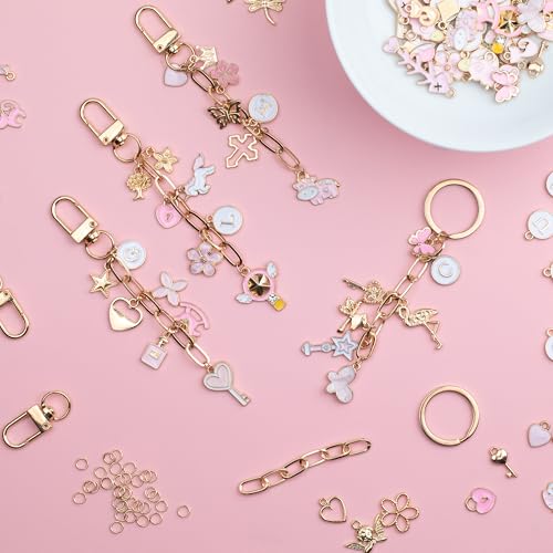 HOMAR 105Pcs DIY Keychain Making Kit Bag Charm Jewelry Chain Making 30 Pink Charms 8 Keychain Clips with Key Ring 8 Extender Chains 50 Jump Ring for DIY Craft Gifts - color: Pink-105PCS