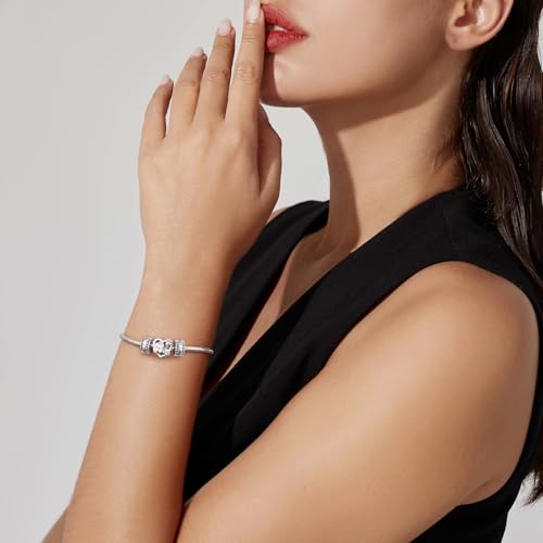 DALARAN Stopper Beads for Bracelets 925 Sterling Silver Clip Spacer Charm Bracelet Stoppers - style: 1Pcs Colorful Charm Stoppers