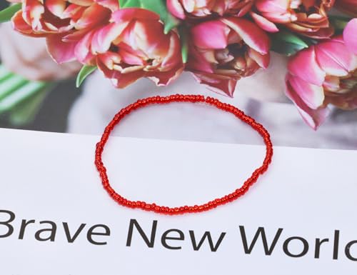 Round Glass Beads Penta Angel 2200Pcs 2mm Mini Craft Loose Spacer Pony Beads for Earring Bracelets Necklace Waist Beads Jewelry Making (Red) - color: Red