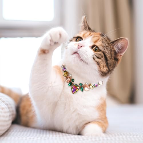 HOWWFALY Dog Collar and Cat Collar Gold Chain Necklace Stainless Steel Adjustable Yellow Diamonds Collar with Cute Pet Paw for Small Medium Pets Cats Dogs Kitten Puppy - color: Muti, size: Small