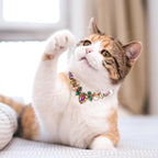 HOWWFALY Dog Collar and Cat Collar Gold Chain Necklace Stainless Steel Adjustable Yellow Diamonds Collar with Cute Pet Paw for Small Medium Pets Cats Dogs Kitten Puppy - color: Muti, size: Medium