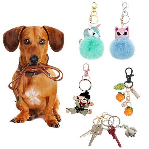 AUGSUN 100PCS Swivel Clasps Lanyard Snap Hooks with Key Rings, Key Chain Clip Hooks Lobster Claw Clasps for Keychains Jewelry DIY Crafts (Multicolor) - color: Multicolor