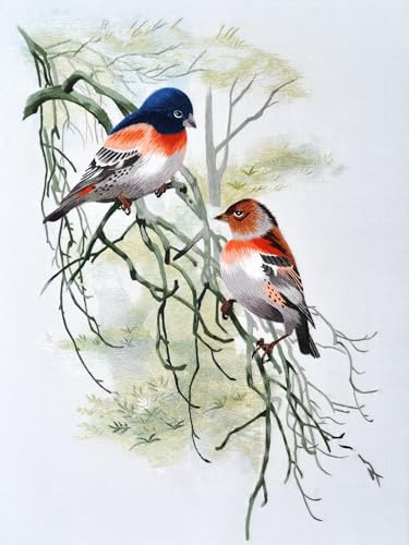 Mulberry Silk Floss Embroidery Thread Floss-Cross Stitch Threads China Silk Woven Jewelry Threads DIY Sewing Kits (18) - color: 18