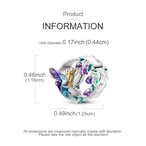 LAZA 925 Sterling Silver Charm for Bracelet Necklace Dangle Love Mom Butterfly Party Charm Beads Pendants DIY Jewelry for Women - color: Hummingbird
