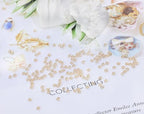 Round Glass Beads Penta Angel 2200Pcs 2mm Mini Craft Loose Spacer Pony Beads for Earring Bracelets Necklace Waist Beads Jewelry Making(Champagne) - color: Champagne
