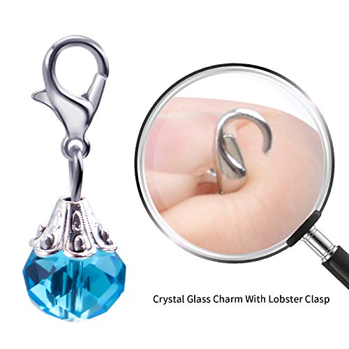 Aylifu Clip on Charms,24 Pieces Crystal Dangle Charms Pendant with Lobster Claw Clasp for Jewellery Making - 12 Colors - color: Silver
