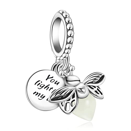 925 Silver Charms Pendants For Pandora Bracelet Golden charms Bead Safety Chain Clip set Heart Flower Animal Beads Family, Mom, Friend, Daughter, Birthday, Jewelry Gift - style: G-Glow in the Dark Firefly