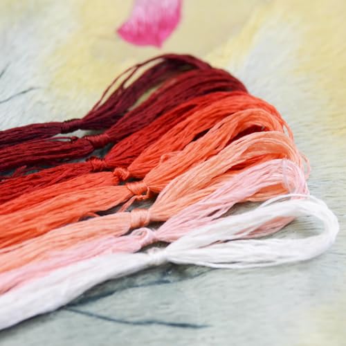 8 Skeins Mulberry Silk Floss Embroidery Thread Floss-Cross Stitch Threads China Silk Woven Jewelry Threads DIY Sewing Kits (02) - color: 02