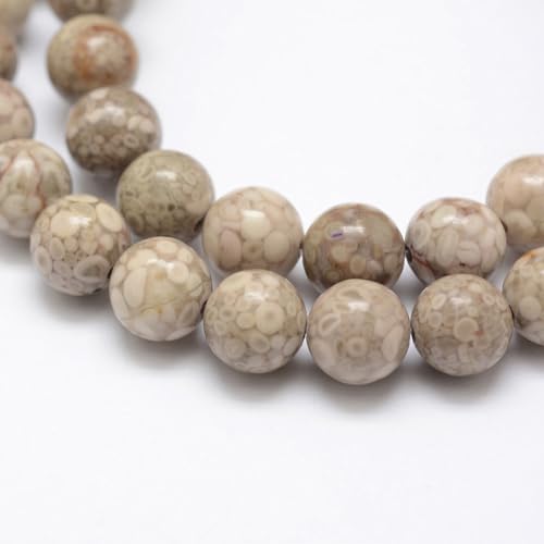 45Pcs Natural Fossil Coral Beads 8mm Round Natural Gemstone Beads Smooth Loose Spacer Bead for DIY Craft Bracelet Necklace Earrings Jewelry Making Supplies - color: Natural Fossil Coral
