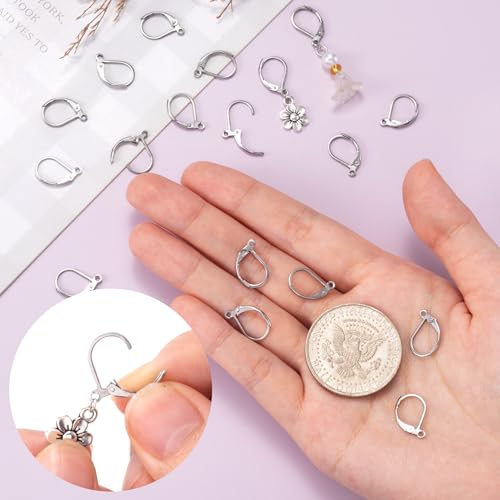 12 Pcs Leverback Earring Hooks, Stainless Steel Clasp Hoops, Hypoallergenic Dangles Earring Hooks, French Ear Wire Findings for Women, DIY Crafts, Jewelry Making (Silver) - color: Silver 12pcs