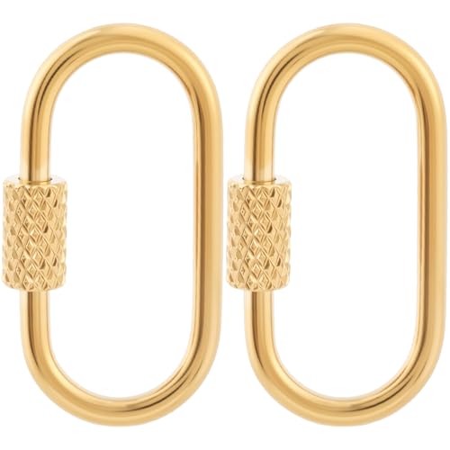 2 Pcs Locking Carabiner Small, Oval Jewelry Carabiner, Gold Carabiner Clasp, Metal Carabiner Necklace for DIY Necklace Bracelets Jewelry Making Hook (Gold) - color: 2 Pcs-Gold, Style1