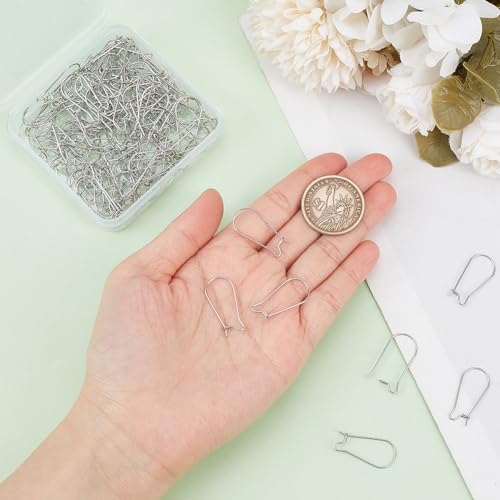 1 Box 120Pcs Kidney Wire Earring Hooks Silver Ear Wires Stainless Steel Drop Long U Shaped Hoop Earwires Teardrop Dangle Earring Findings for Jewelry Making Supplies DIY Craft Women Beginner - size: 25x12x2.5mm