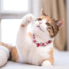 HOWWFALY Dog Collar and Cat Collar Gold Chain Necklace Stainless Steel Adjustable Pink Diamonds Collar with Cute Pet Paw for Small Medium Pets Cats Dogs Kitten Puppy(Pink, S) - color: Pink, size: Small