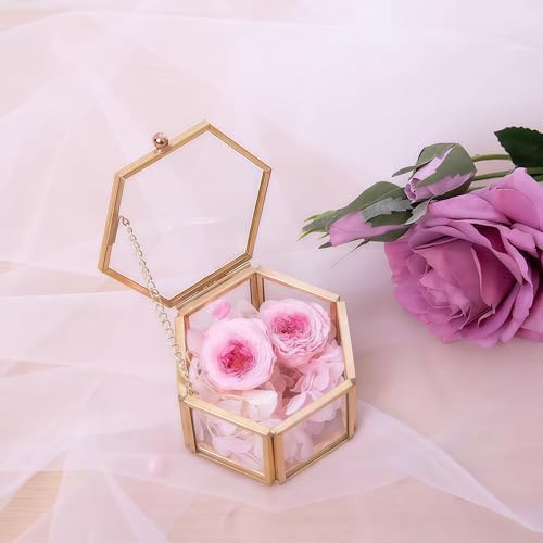 JIARI Glass Jewelry Box Small Gold Hexagonal Decorative Box Ring Earring Display Keepsake Box Case Box for Storage (Small 2 Pack)