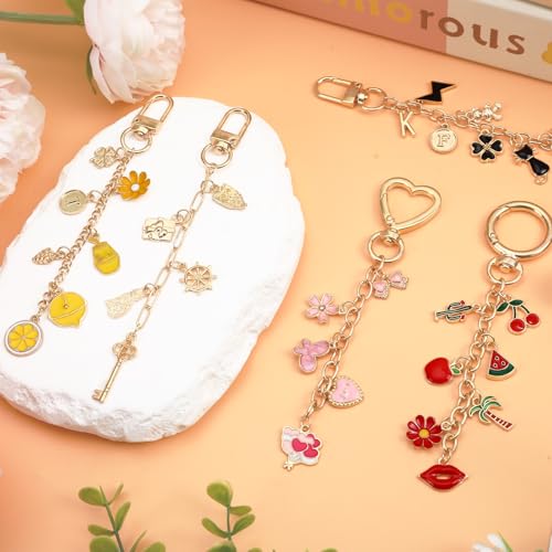 AUGSUN 439Pcs Charm Keychain Making Kit, Including 162 Charms 30 Keychain Clips Hooks 25 Extender Chains 200 Jump Rings and Jewelry Plier, Bulk Bag Charm Keychain Kit for DIY Keychains Making Craft