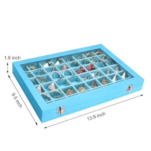 Siveit Jewelry Tray Organizer Box 48 Grid Jewelry Display Organizer Box with Transparent Lid Rings Earrings Necklaces Pendants Display Box Suitable for Women and Girls (48 Grid, Sky Blue) - color: Sky Blue