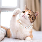 HOWWFALY Dog Cat Pearl Collars with Cute Pet Paw Gold Chain Stainless Steel Collars Necklace Adjustable Collar Dog Chain Cat White Pearl Pet Collar (White, S) - color: White, size: Small