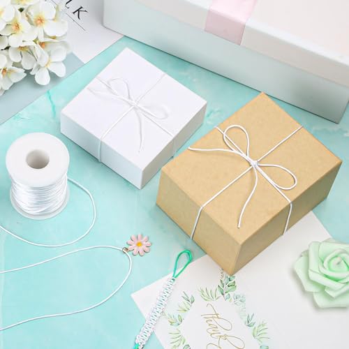 Anezus White Nylon Cord, Nylon Craft String, Silky Satin Rattail Cord Beading String for Braided Bracelets, Pendants Necklace, Macrame Keychains, Lanyards, Drawstring Bags, DIY Crafts, Sewing Projects - style: White