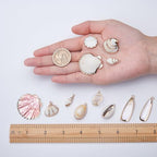 SUNNYCLUE 1 Box 20pcs 10 Styles Natural White Cowrie Seashells Charm Conch Shells Plated Charms Summer Ocean Sea Charm for Jewelry Making Charm Necklace Bracelet Earring Making - color: 1 Box 20pcs Seashell Charms