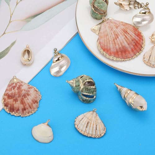 SUNNYCLUE 1 Box 16Pcs 8 Styles Natural Shell Charms Bulk Seashell Charm Summer Ocean Beach Conch Cowrie Scallops Beads Shells Marine Sea Charms for Jewelry Making Charm Earrings Necklaces DIY Crafts - color: 1 Box 16Pcs 8 Styles Shell Charms