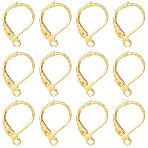 12Pack Gold Earring Hooks for Jewelry Making, Leverback Ear Wire Findings Women Ear Ring Charms, Lever Back Dangle Earring Clasps - Stainless Steel