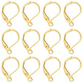 12Pack Gold Earring Hooks for Jewelry Making, Leverback Ear Wire Findings Women Ear Ring Charms, Lever Back Dangle Earring Clasps - Stainless Steel