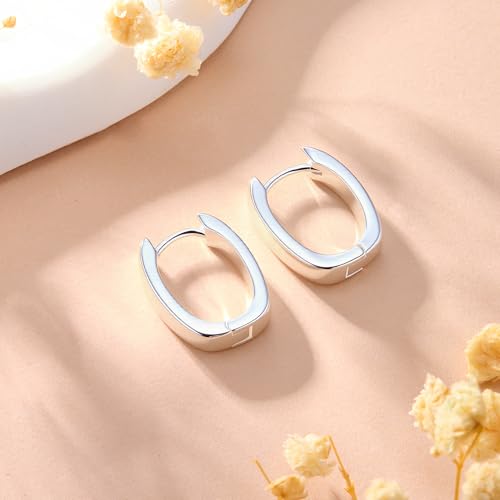 925 Sterling Silver Earrings Small Chunky Hoop Earrings for Women Trendy Huggie Hoop Earrings 14K Gold Plated Hypoallergenic Earrings Small Thick Huggie Hoops Earrings - color: Silver2