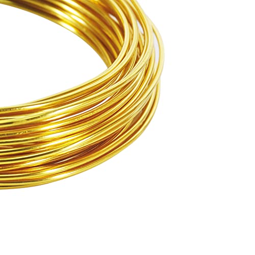 Tenn Well 12 Gauge Aluminum Wire, 100 Feet 2mm Bendable Anodized Metal for Sculpting, Jewelry Making, Armature Making, Weaving and Wrapping, Crafting (Gold) - color: Gold