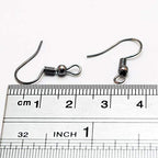 Chenkou Craft 120pcs Fish Earring Hooks Ear Wires with 120pcs Earring Backs 18MM Hypo Allergenic Surgical Steel with Ball and Coil Mixed Color (Mix, 18mm)