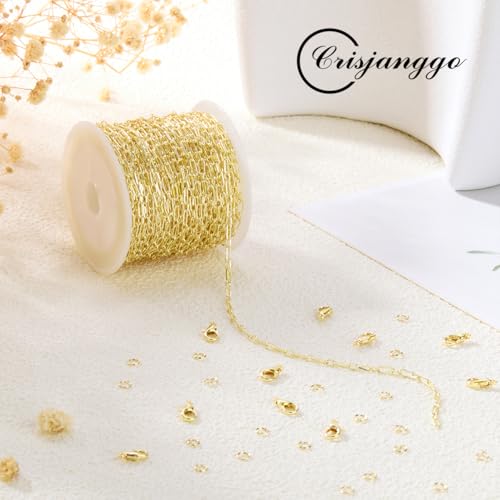 Crisjanggo 32.8 Feet Gold Paperclip Chains for Jewelry Making 14K Gold Plated Brass Jewelry Making Chains Roll Bulk for Bracelet Women DIY Craft Chain - color: 1:1 Paperclip Gold