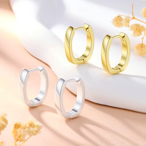 925 Sterling Silver Earrings Small Chunky Hoop Earrings for Women Trendy Huggie Hoop Earrings 14K Gold Plated Hypoallergenic Earrings Small Thick Huggie Hoops Earrings - color: Gold2