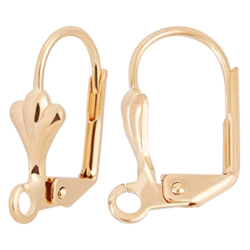 Beebeecraft 1 Box 50Pcs Leverback Earring Findings 18K Gold Plated French Earring Hooks 16x11mm Leaf Pattern Interchangeable Dangle Ear Wire Findings for Jewelry Making - color: 16x11mm Leaf Earring Hooks