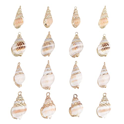 SUNNYCLUE 1 Box 16Pcs 4 Style Ocean Beach Spiral Seashells Craft Charms Connectors Pendant Conch Shells Charms with Plated Golden Loop Bail for Bracelet Necklace Making Craft Supplies - color: 1 Box 16pcs Conch Shell Charms
