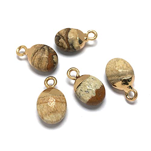 LE SKY 10 Pcs Natural Stone Pendants Mix Random Color Natural Semi Precious Stone Pendants Charms for Jewelry Making Jade Turquoise Agate Crystal Quartz Beads Bracelet Necklace Jewelry Findings