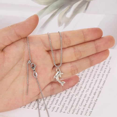 Crisjanggo 10 Pcs Adjustable Silver Necklace Chains Bulk Stainless Steel Chain for Jewelry Making with Lobster Clasps for Women - color: Silver Box