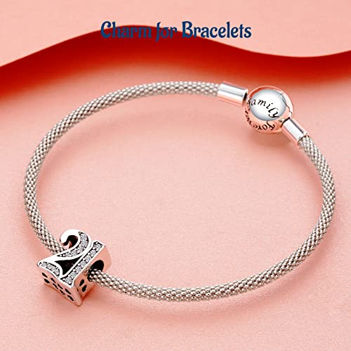 Mothers Day Birthday Number Love Family Friendship Graduation Auntie Grandma Dad Mom Charms for Pandora Bracelets Necklaces, Gifts Women, for Anniversary Valentines Christmas - style: Number 21 Charm Silver
