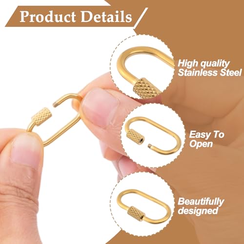2 Pcs Locking Carabiner Small, Oval Jewelry Carabiner, Silver Carabiner Clasp, Metal Carabiner Necklace for DIY Necklace Bracelets Jewelry Making Hook (Silver, Gold) - color: 2 Pcs-Silver, Gold, Style1