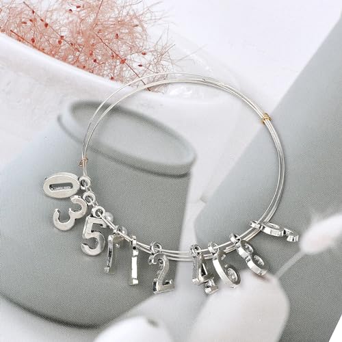KALIONE 50Pcs Metal 0-9 Number Charm Pendants 0-9 Charms for DIY Craft Keychains DIY Jewelry Making Accessories - color: Silver
