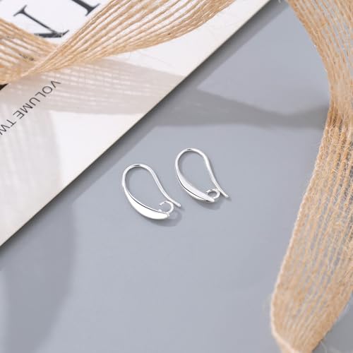 14K Gold and Silver Plated Earring Hooks, 230PCS Earring Findings for Jewelry Making Hypoallergenic Earring Making Kit for DIY Bulk Pack - color: Silver and 14K Gold-Big Earing Hooks