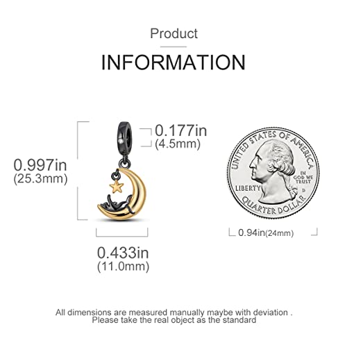 MULA 925 Sterling Silver Charms for Bracelets and Necklaces Lipstick and Bag Dangle Pendants Tower Camera Beads Jewelry Charms for Women - color: Cat and Moon Charm