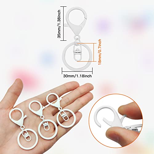 30Pcs Lobster Claw Clasps Keychain for Jewelry Making,Metal Lobster Clasp Swivel Trigger Clips with Swivel Clasps Hook Clips Flat Split Keychain Ring for DIY Craft Jewelry Making(White) - color: White
