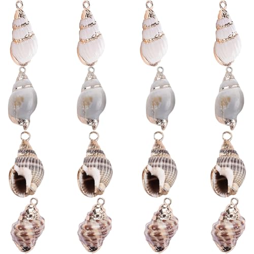 SUNNYCLUE 1 Box 16Pcs Oval Ocean Beach Spiral Seashells Craft Charms Connectors Pendant Conch Shells Charms with Plated Golden Loop Bail for Jewelry Bracelet Necklace Making Craft Supplies - color: 1 Box 16pcs Shell Charms