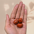Amazing Gemstone Red Jasper Crystal Tumbled Stones Polished Rocks - Natural Gem Stones for Healing - DIY Crystals for Protection (1 Piece) - color: Red Jasper